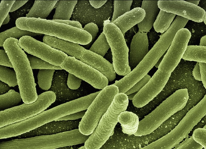 Diseases